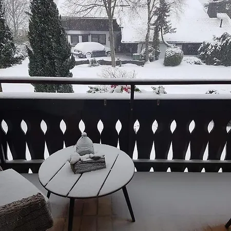 Mit Kamin-sonnendurchflutet-balkon Апартаменты *