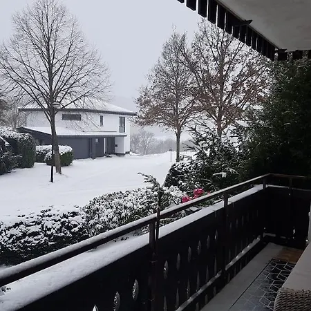 Mit Kamin-sonnendurchflutet-balkon *