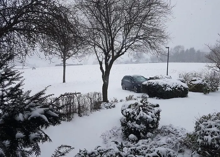 Mit Kamin-sonnendurchflutet-balkon *